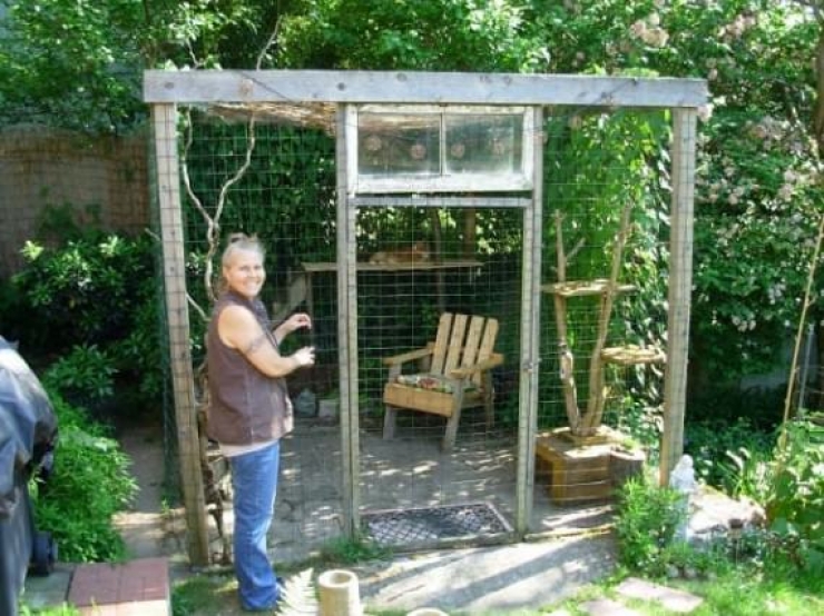 Illustration de l'article : Vous aimez les Patio et vous avez un chat ? Vous allez adorer le Catio...