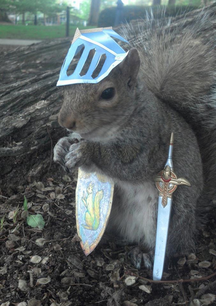 Illustration de l'article : Une étudiante fait prendre la pose à des écureuils amicaux et photogéniques