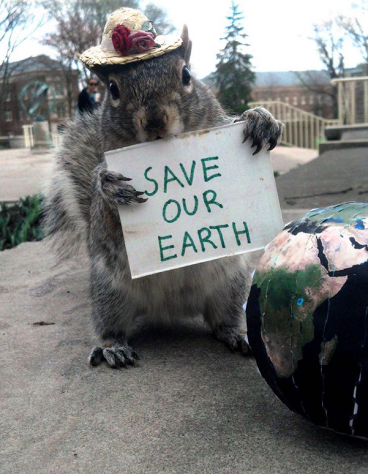 Illustration de l'article : Une étudiante fait prendre la pose à des écureuils amicaux et photogéniques