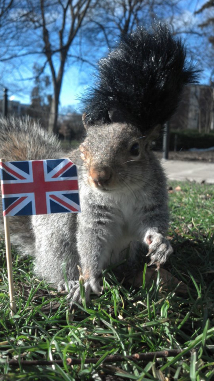 Illustration de l'article : Une étudiante fait prendre la pose à des écureuils amicaux et photogéniques