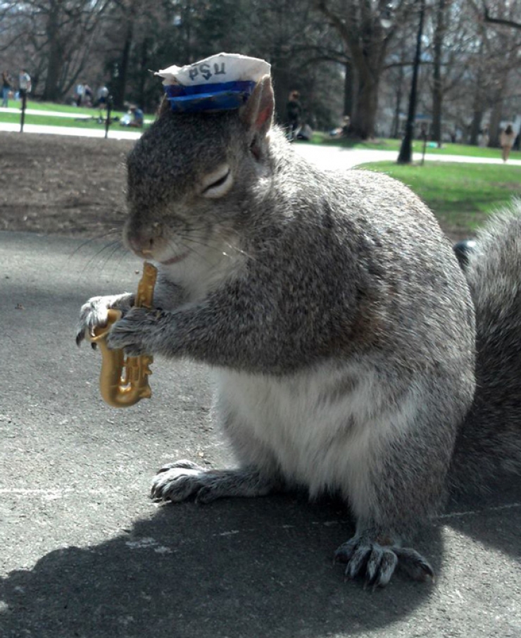 Illustration de l'article : Une étudiante fait prendre la pose à des écureuils amicaux et photogéniques