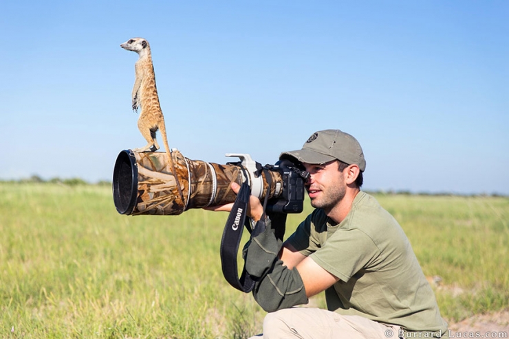 Illustration de l'article : Quand les animaux s'intéressent de très près à la photographie (19 photos)