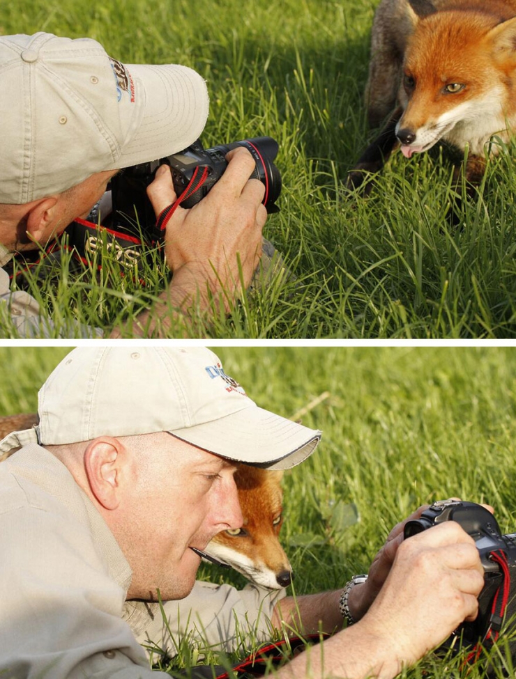 Illustration de l'article : Quand les animaux s'intéressent de très près à la photographie (19 photos)