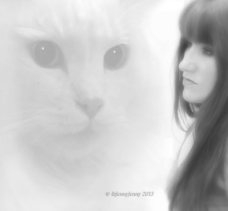 Illustration de l'article : C'est grâce à ce chaton sourd qu'une maman a pu surmonter le terrible drame qu'elle a vécu