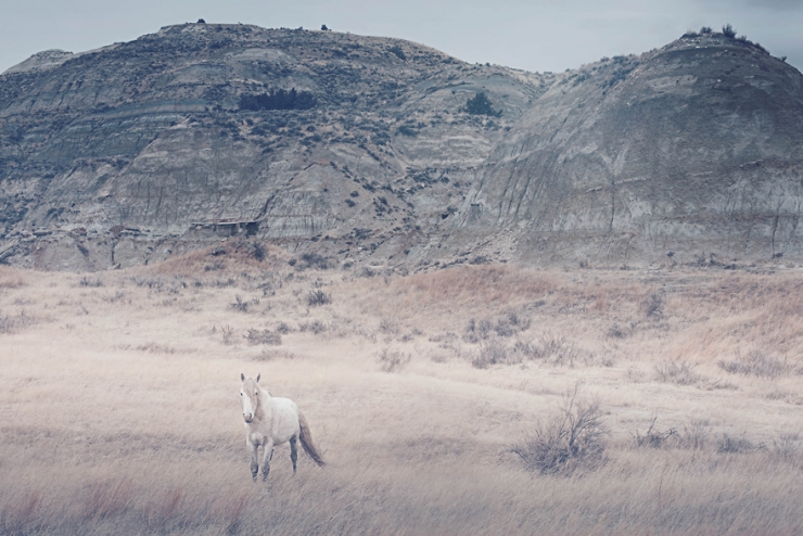 Illustration de l'article : L'accident de cheval survenu durant son enfance aurait d&ucirc; le traumatiser &agrave; vie. C'est tout le contraire qui s'est pass&eacute;