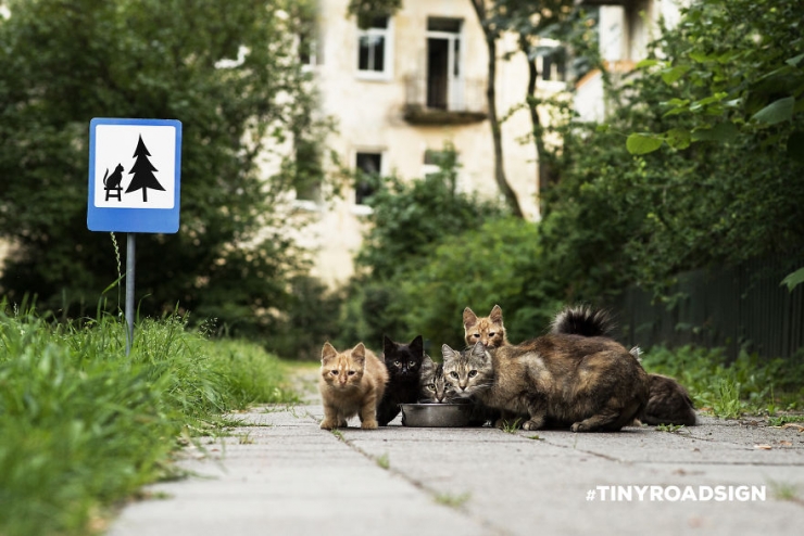 Illustration de l'article : Des mini panneaux de signalisation pour faire davantage attention aux animaux