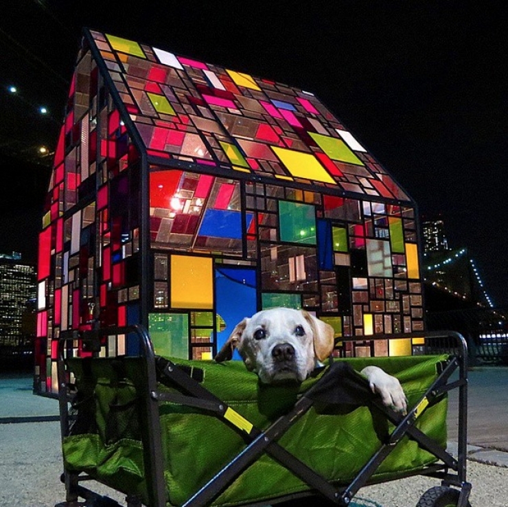 Illustration de l'article : Apprenant que son chien est en fin de vie, il d&eacute;cide de lui offrir un magnifique cadeau pendant 7 semaines...