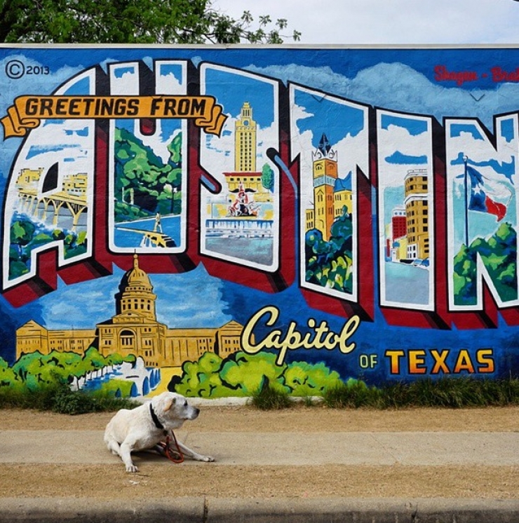 Illustration de l'article : Apprenant que son chien est en fin de vie, il d&eacute;cide de lui offrir un magnifique cadeau pendant 7 semaines...