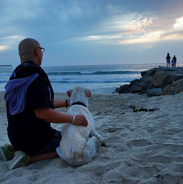 Illustration de l'article : Apprenant que son chien est en fin de vie, il d&eacute;cide de lui offrir un magnifique cadeau pendant 7 semaines...
