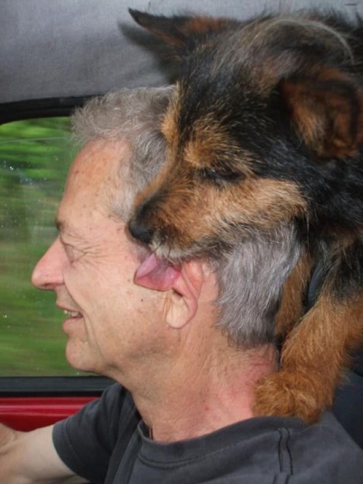 Illustration de l'article : Pourquoi les chiens adorent passer la tête par la fenêtre en voiture ?