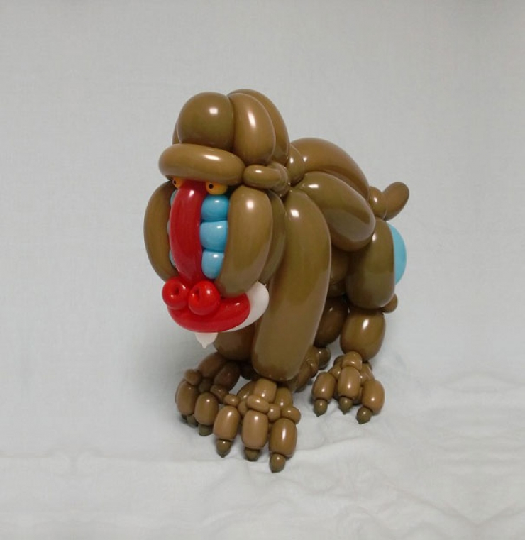 Illustration de l'article : Masayoshi Matsumoto r&eacute;alise de magnifiques sculptures avec des ballons...