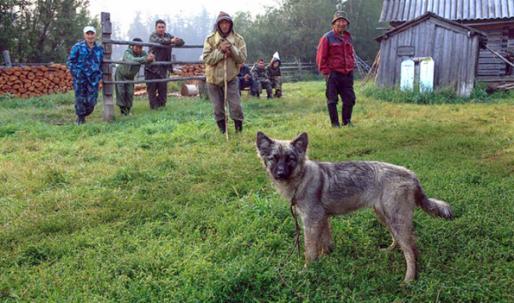 Illustration de l'article : Vous ne devinerez jamais qui a sauv&eacute; cette fillette perdue en for&ecirc;t depuis 11 jours !