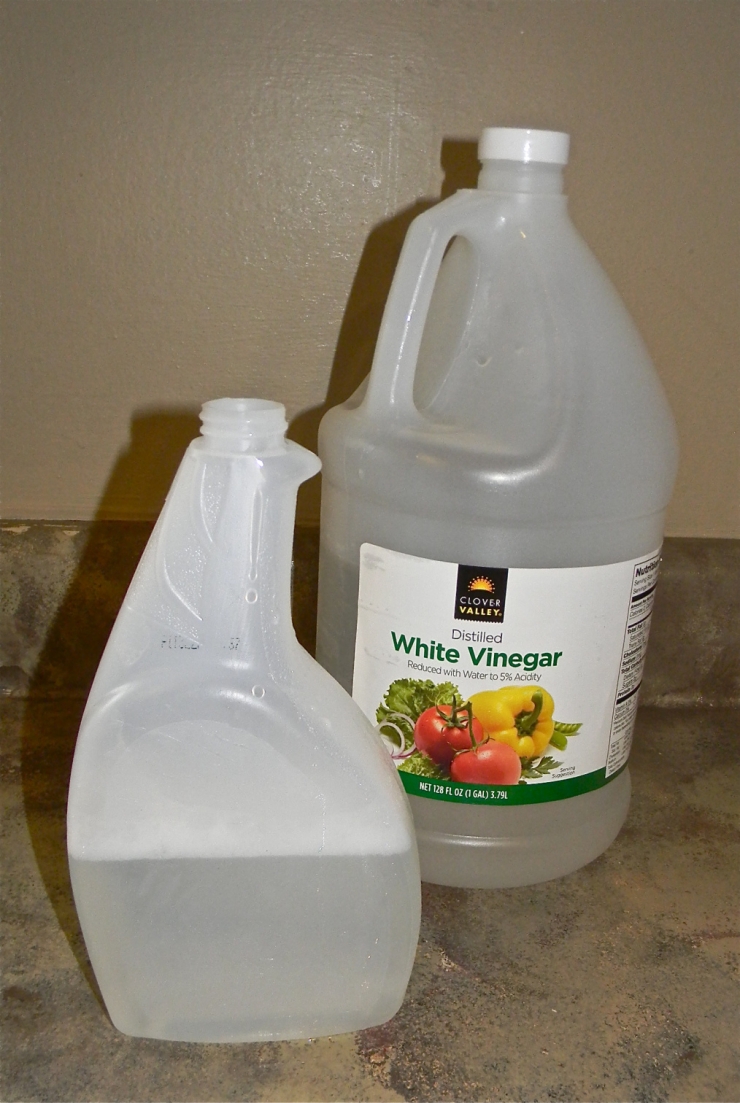 Illustration de l'article : Une astuce toute simple pour faire briller votre &eacute;vier de cuisine !