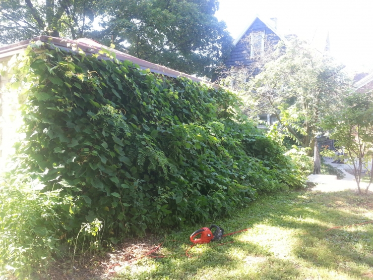 Illustration de l'article : Ses voisins &eacute;taient certains que ce ne serait pas joli pourtant maintenant ils veulent construire la m&ecirc;me chose ! 