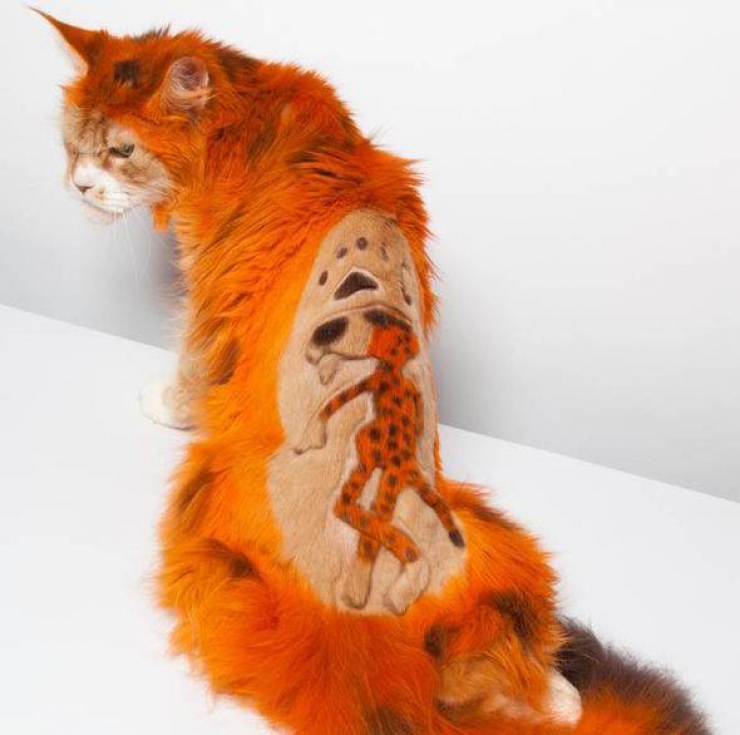 Illustration de l'article : Si vous aimez sinc&egrave;rement votre chat, ne lui "offrez" surtout pas l'une de ces coupes