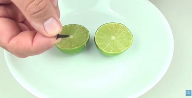 Illustration de l'article : Une astuce anti-moustique efficace, naturelle et pas chère