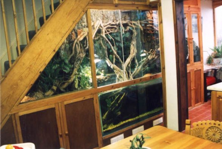 Illustration de l'article : Vous cherchez &agrave; arranger l'espace libre sous votre escalier ? Ces 33 id&eacute;es sont pour vous !