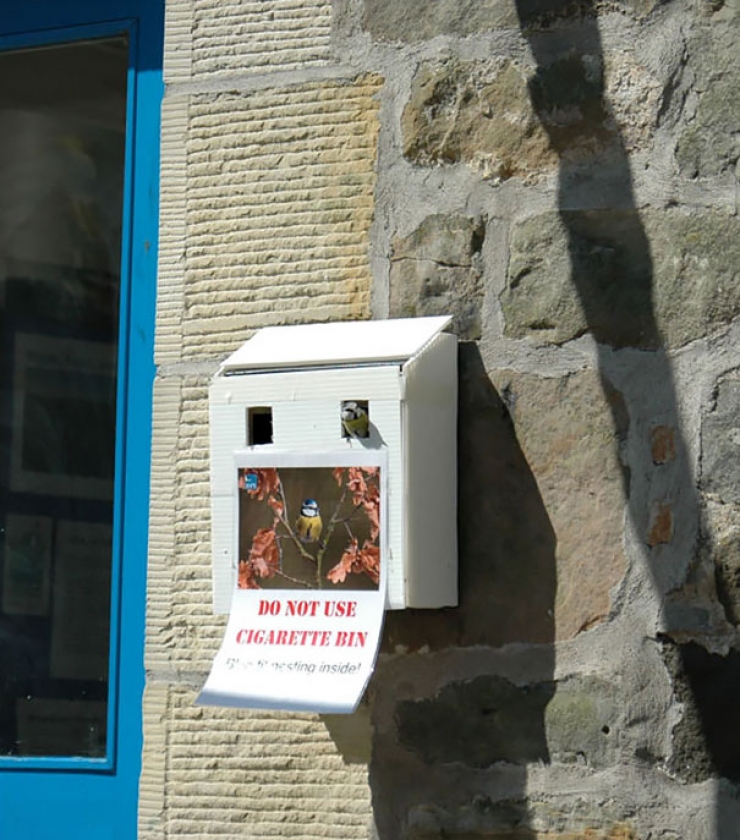 Illustration de l'article : 21 photos d'oiseaux qui ont construit leurs nids dans des endroits inattendus