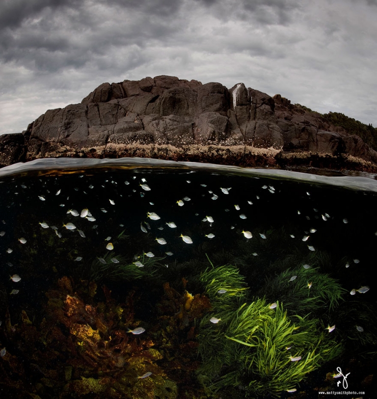 Illustration de l'article : D'époustouflantes photos entre air et mer, par Matty Smith