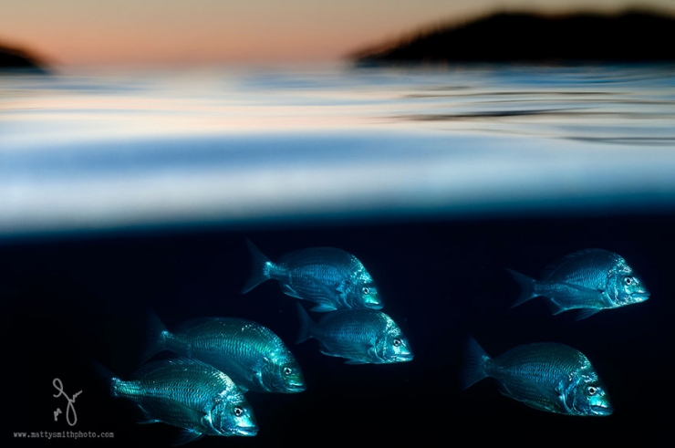 Illustration de l'article : D'époustouflantes photos entre air et mer, par Matty Smith