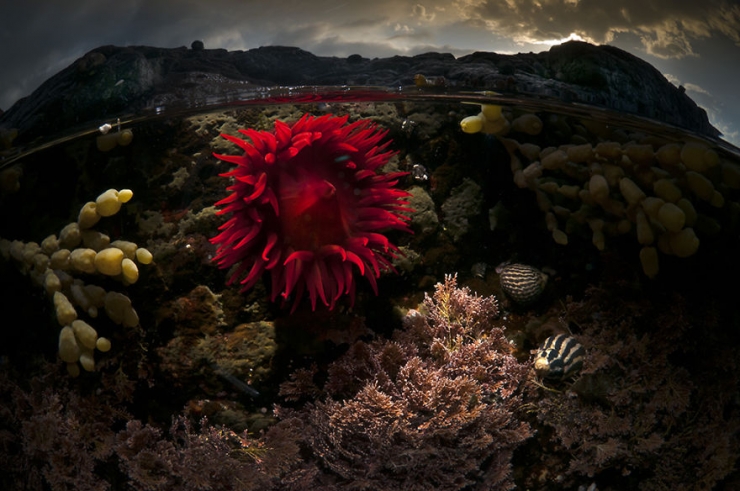 Illustration de l'article : D'époustouflantes photos entre air et mer, par Matty Smith