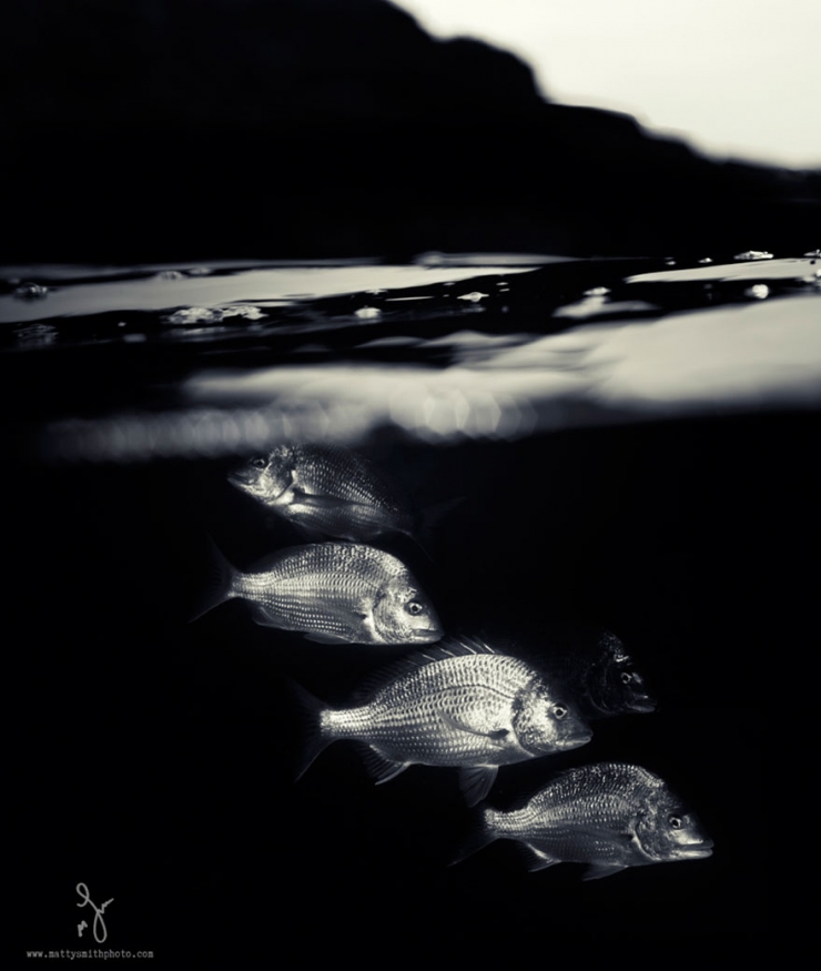Illustration de l'article : D'époustouflantes photos entre air et mer, par Matty Smith