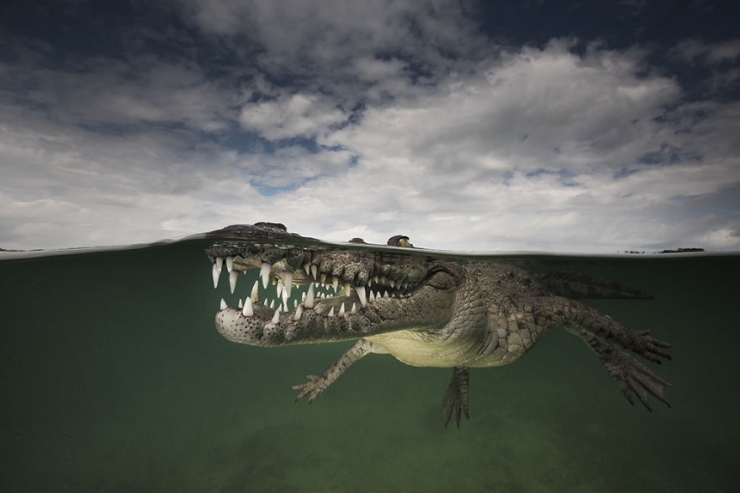 Illustration de l'article : D'époustouflantes photos entre air et mer, par Matty Smith