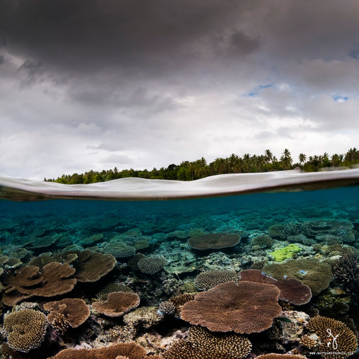 Illustration de l'article : D'époustouflantes photos entre air et mer, par Matty Smith