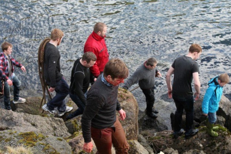Illustration de l'article : Des centaines de dauphins sont massacr&eacute;s aux &icirc;les F&eacute;ro&eacute;...Au nom de la tradition !