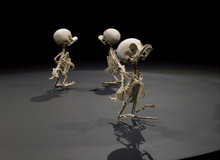 Illustration de l'article : Les squelettes de personnages de dessins anim&eacute;s tels que les imagine Hyungkoo Lee (8 photos)