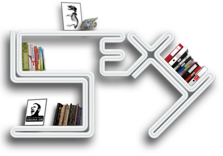 Illustration de l'article : Top 26 des bibliothèques les plus originales !