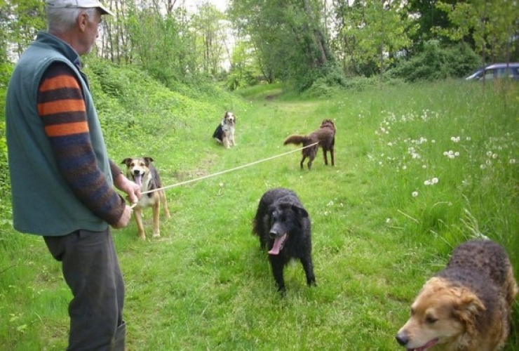 Illustration de l'article : Elles tombent sur des sacs &agrave; ordure pr&egrave;s d'une rivi&egrave;re et y d&eacute;couvrent un pauvre chien...