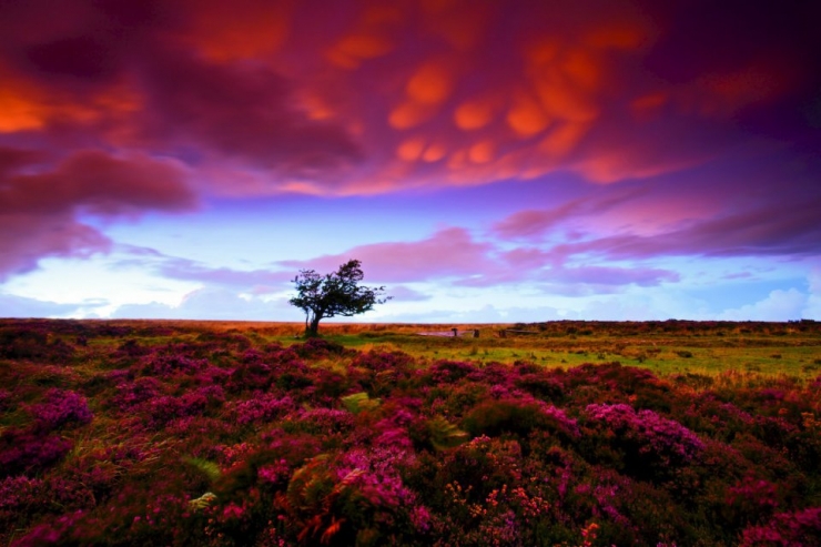 Illustration de l'article : Les plus beaux couchers de soleil du monde