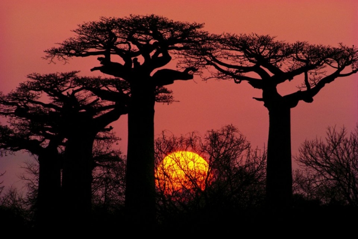 Illustration de l'article : Les plus beaux couchers de soleil du monde