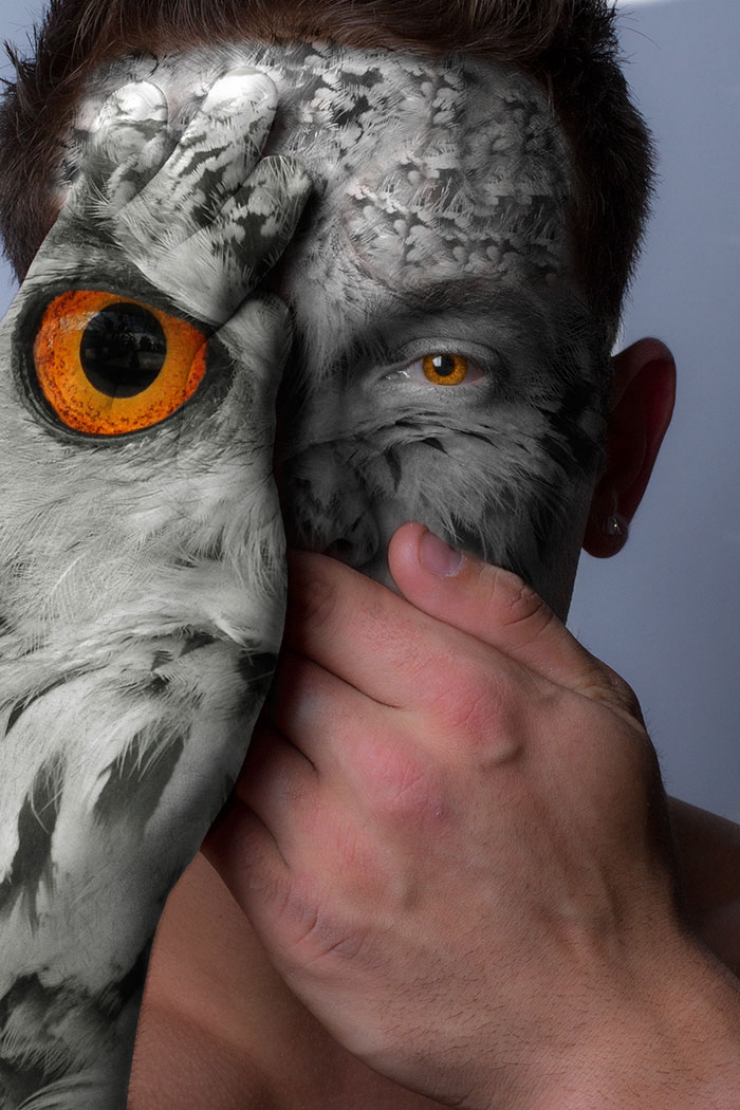 Illustration de l'article : Visages de la vie sauvage, par Devin Mitchell