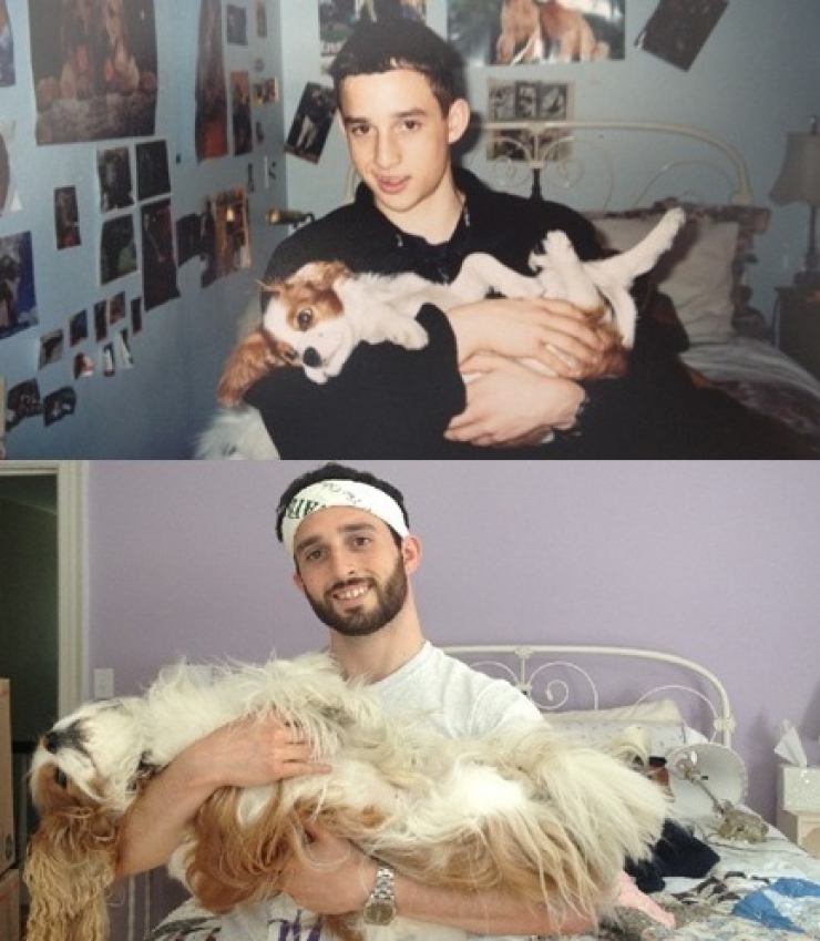 Illustration de l'article : Les chiens aussi ont droit à leurs photos avant/après. Regardez comme ils ont grandi (26 photos)