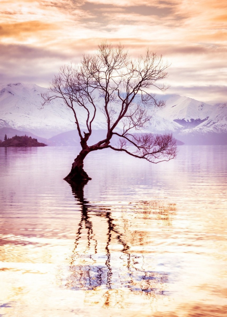 Illustration de l'article : 20 photos incroyables de la beaut&eacute; de la nature