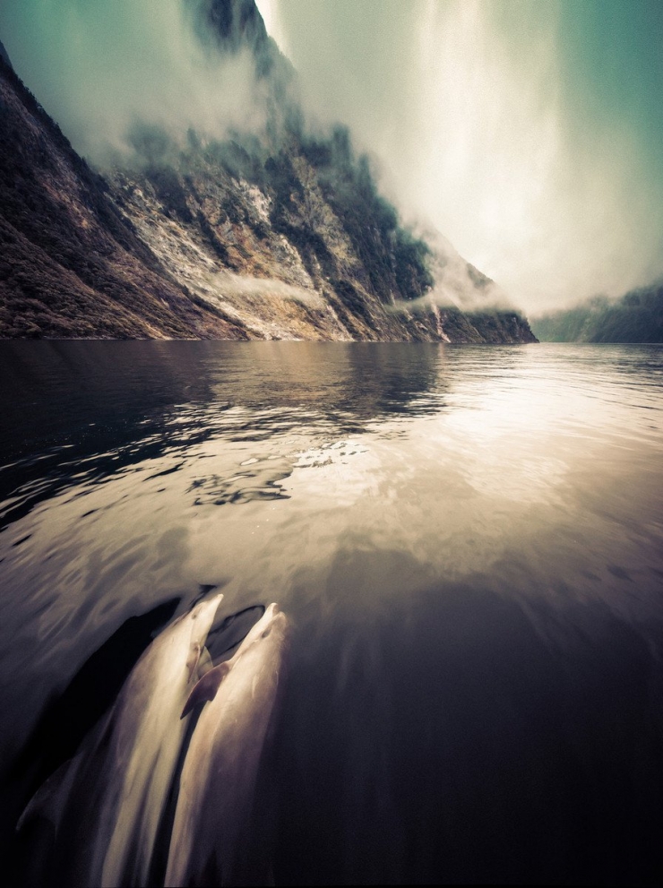 Illustration de l'article : 20 photos incroyables de la beaut&eacute; de la nature