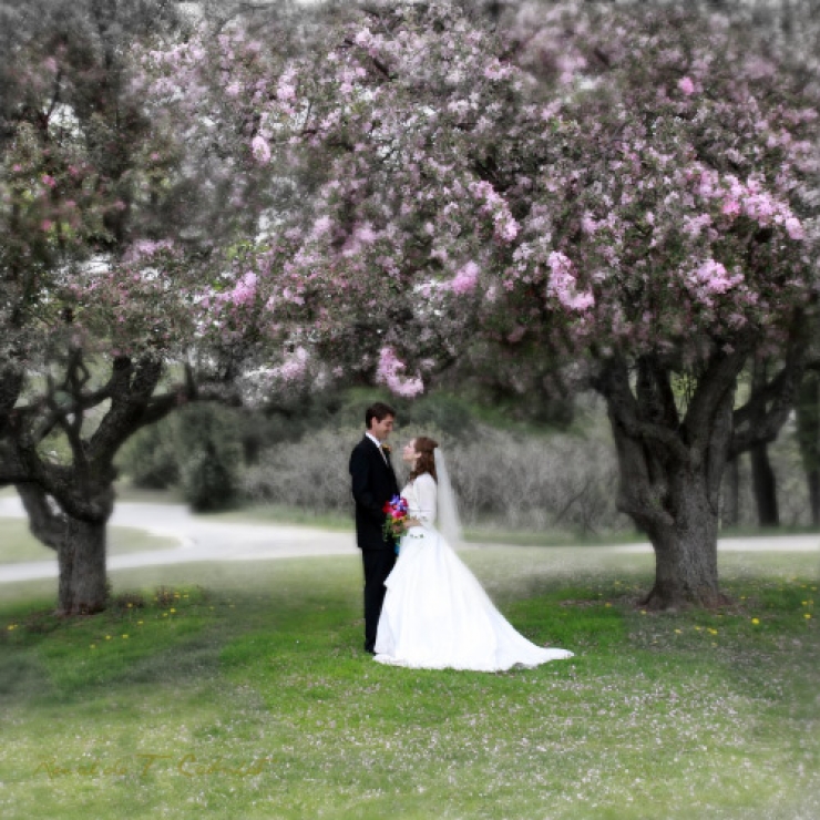 Illustration de l'article : Entre originalit&eacute; et amour, cette s&eacute;lection de photos de mariage devrait vous plaire...Et vous donner des id&eacute;es ! 