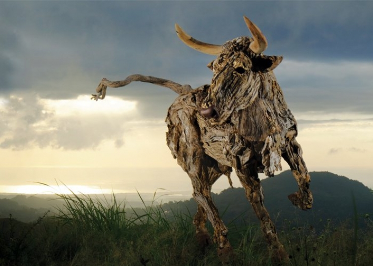 Illustration de l'article : Il puise le mat&eacute;riau de ses sculptures dans les oc&eacute;ans... Entre recyclage de bois flottant et cr&eacute;ativit&eacute; !