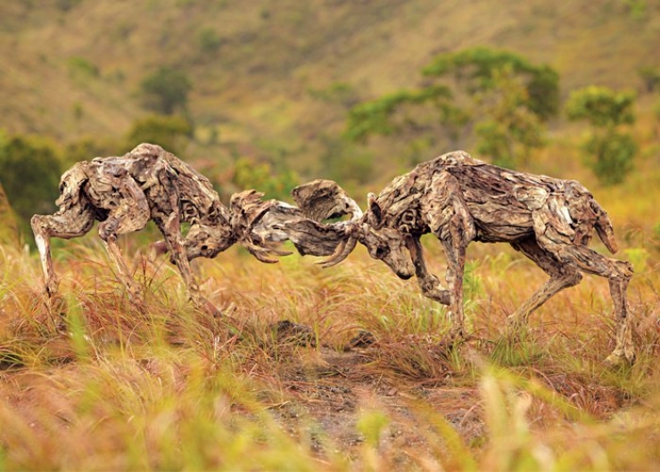 Illustration de l'article : Il puise le mat&eacute;riau de ses sculptures dans les oc&eacute;ans... Entre recyclage de bois flottant et cr&eacute;ativit&eacute; !