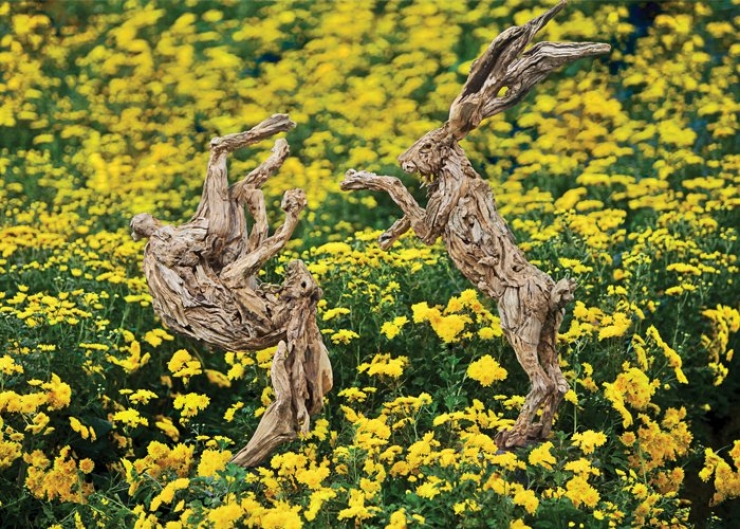 Illustration de l'article : Il puise le mat&eacute;riau de ses sculptures dans les oc&eacute;ans... Entre recyclage de bois flottant et cr&eacute;ativit&eacute; !