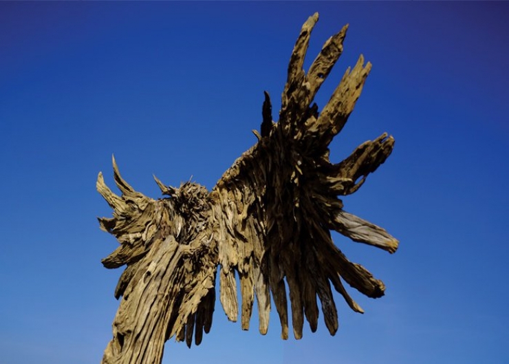 Illustration de l'article : Il puise le mat&eacute;riau de ses sculptures dans les oc&eacute;ans... Entre recyclage de bois flottant et cr&eacute;ativit&eacute; !