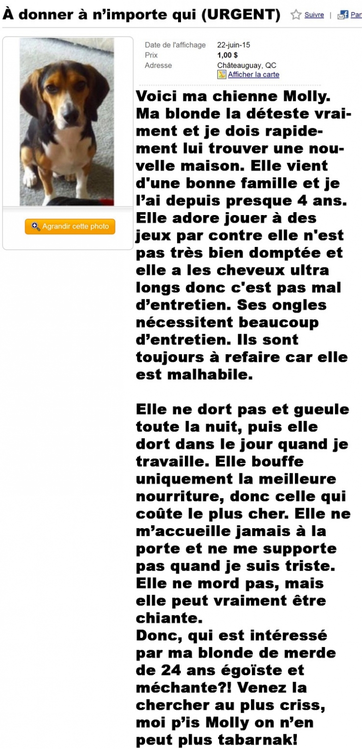 Illustration de l'article : Il n'en peut plus et poste cette annonce sur un site de seconde main... Attendez de lire la fin !