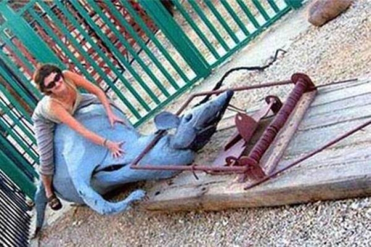 Illustration de l'article : Ces 25 jeux pour enfants qui ont plut&ocirc;t l'air d'avoir &eacute;t&eacute; con&ccedil;us pour des adultes&hellip;