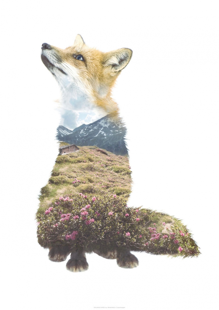 Illustration de l'article : Des silhouettes animales et leurs milieux naturels en double exposition