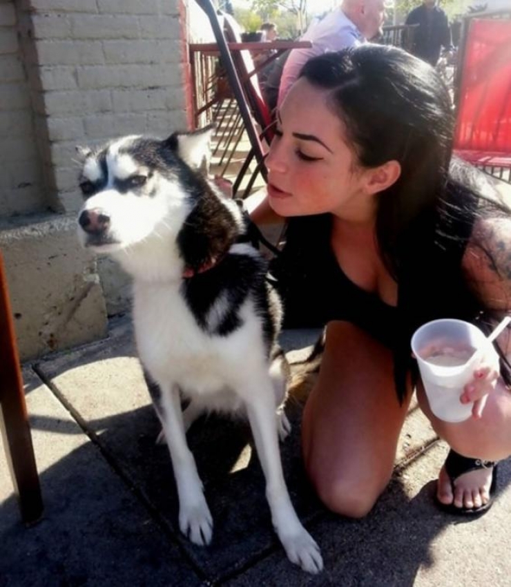 Illustration de l'article : Ces animaux qui n&rsquo;aiment vraiment pas la mode des selfies...