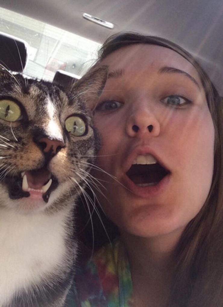 Illustration de l'article : Ces animaux qui n&rsquo;aiment vraiment pas la mode des selfies...