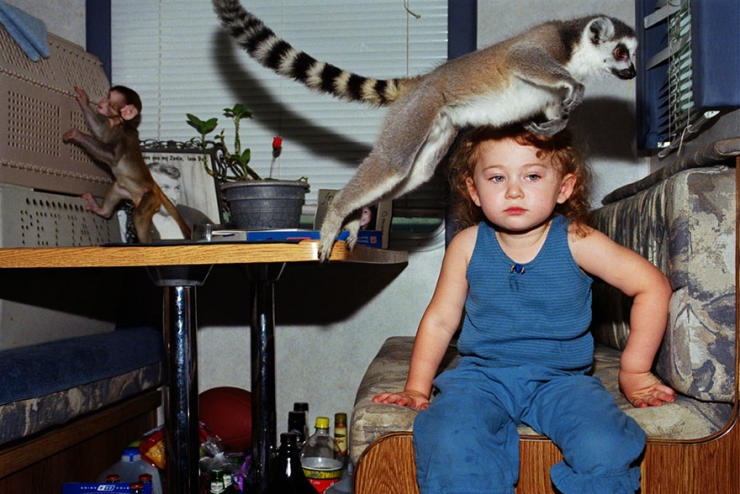 Illustration de l'article : Elle photographie sa fille en compagnie d'animaux depuis 15 ans (22 photos)