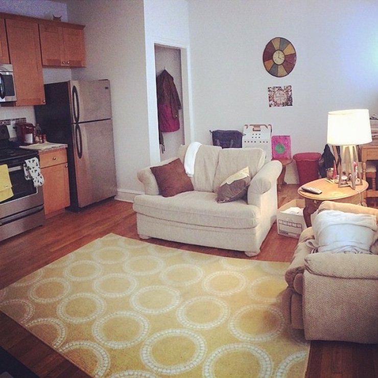 Illustration de l'article : Les chats et leur art du camouflage